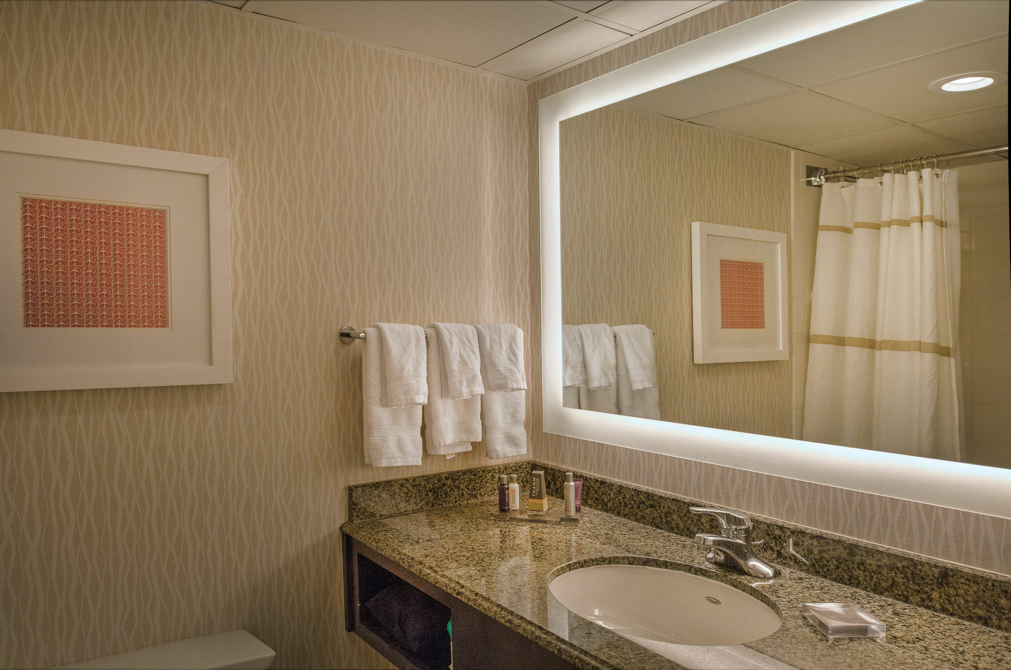 Hotel Marriott St. Louis Airport à Edmundson Extérieur photo